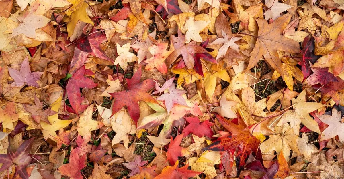 Come scegliere il colore giusto per ogni stagione